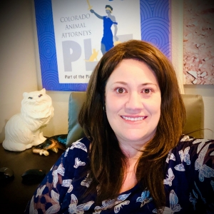 Photo of The Piccone Law Firm