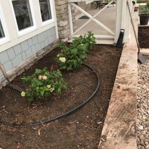 Photo of Green Earth Aeration