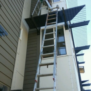Photo of Mile High Window Cleaning