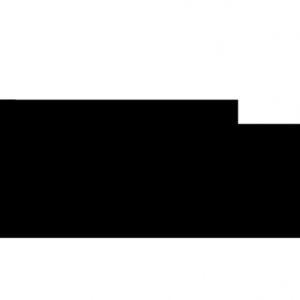 Denver Millennium Marketing Solutions