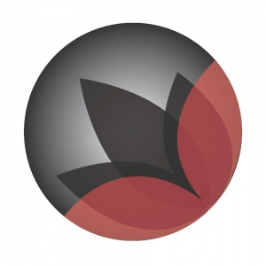 Photo of Lotus Business Solutions