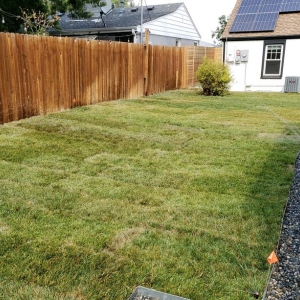 Photo of Emergency Sprinkler Repair Pros
