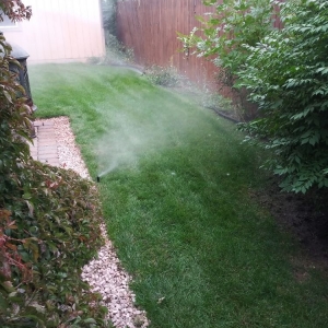 Photo of Sisneros Lawn Service