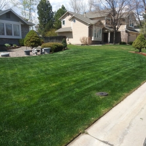 Photo of Sisneros Lawn Service