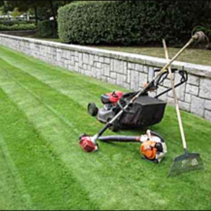 Photo of Sisneros Lawn Service