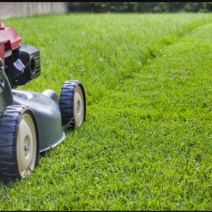 Photo of Sisneros Lawn Service