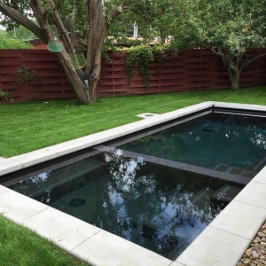 Photo of Laguna Pools