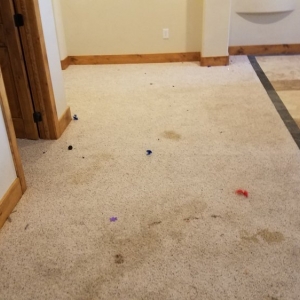 Photo of Magic Dry-A Cleaner Carpet