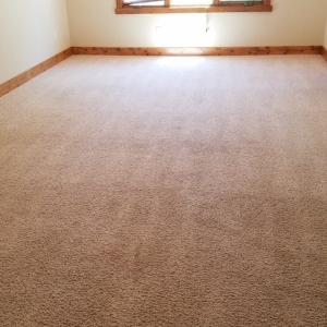 Photo of Magic Dry-A Cleaner Carpet