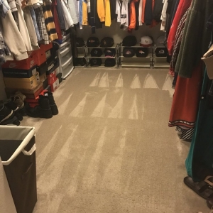 Photo of Magic Dry-A Cleaner Carpet