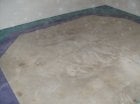 Photo of Magic Dry-A Cleaner Carpet