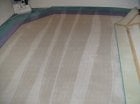Photo of Magic Dry-A Cleaner Carpet