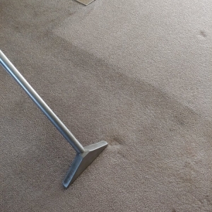 Aurora Chapple's Carpet Cleaning