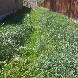 Photo of Tony's Lanscaping