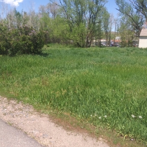 Photo of Tony's Lanscaping