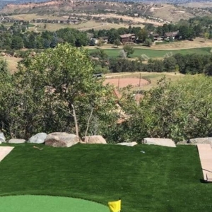 Photo of Purchase Green Artificial Grass