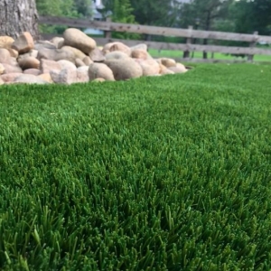 Photo of Purchase Green Artificial Grass
