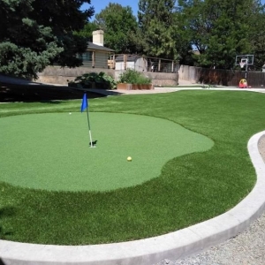 Photo of Purchase Green Artificial Grass