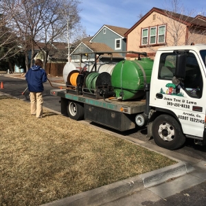 Photo of Jones Tree & Lawn