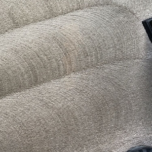 Photo of Carpet Doctor Denver