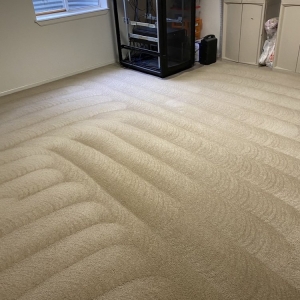 Photo of Carpet Doctor Denver