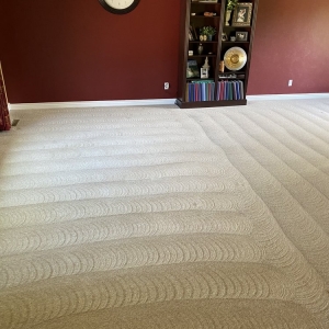 Photo of Carpet Doctor Denver