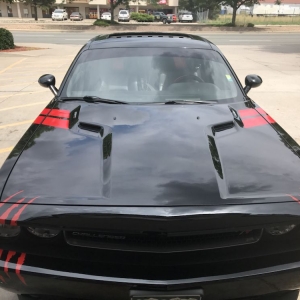 Photo of Miracle master tint