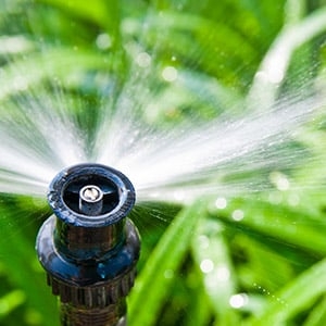 Photo of Hawkins Brothers Lawn and Sprinkler