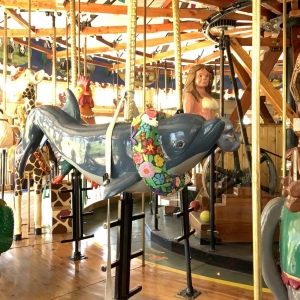 Nederland Carousel of Happiness