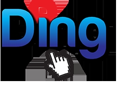 Photo of Ding PPC