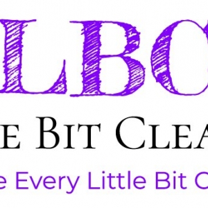 Centennial Little Bit Cleaning