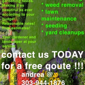 Denver Ariana's Lawn Services