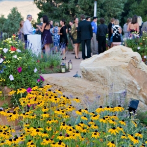 Photo of Realize Colorado