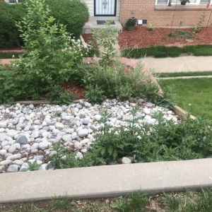 Photo of CAP Management