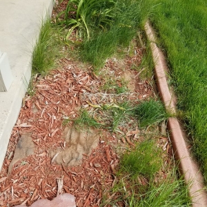 Photo of CAP Management