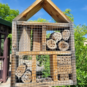 Photo of Butterfly Pavilion