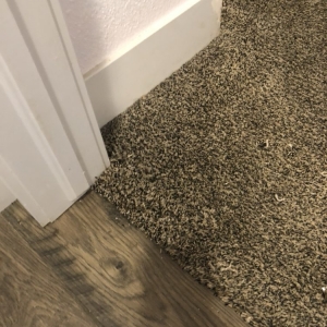 Photo of J & B Simply Clean Carpets