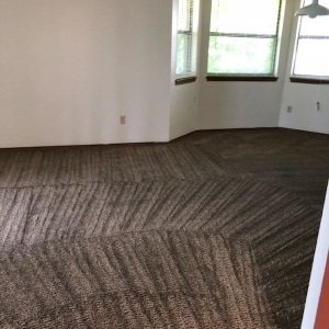 Photo of Extreme Carpet Cleaning & Restoration