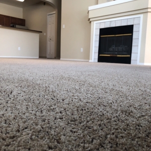 Photo of Extreme Carpet Cleaning & Restoration