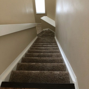 Photo of Extreme Carpet Cleaning & Restoration