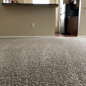 Photo of Extreme Carpet Cleaning & Restoration