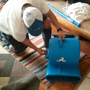Photo of Aspen Green Carpet Care