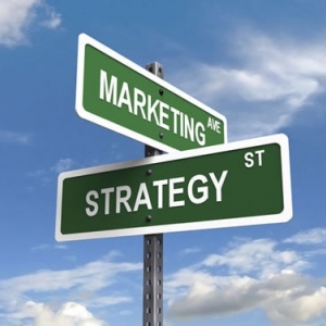 Photo of Digital Marketing Dude