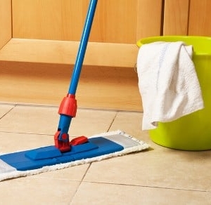 Photo of Maid in Denver Cleaning Services