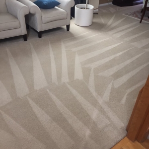 Photo of Dirty Paws Carpet Cleaning & Restoration