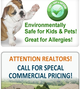 Photo of Bullies Carpet Cleaning