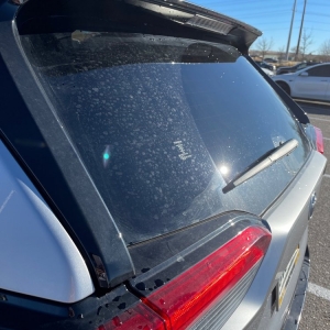 Photo of Lucky Dog Car & Pet Wash