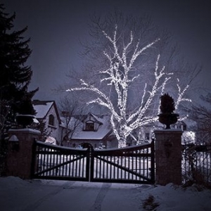 Photo of SavATree Denver