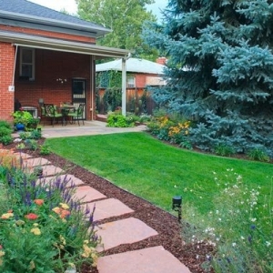 Photo of SavATree Denver