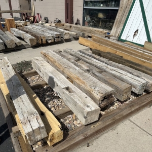 Photo of Front Range Timber